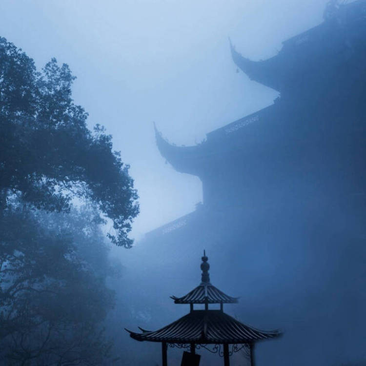 千明孝一 - 独家综艺节目在线观看 - 在线直播